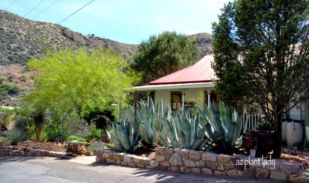 Gardens of Bisbee