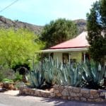 The Gardens of Bisbee