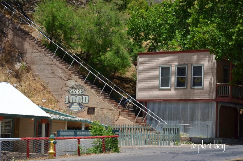 The Bisbee Great Stair Climb