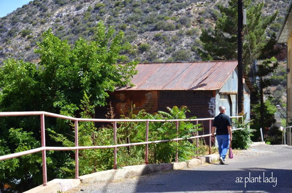 The Gardens of Bisbee