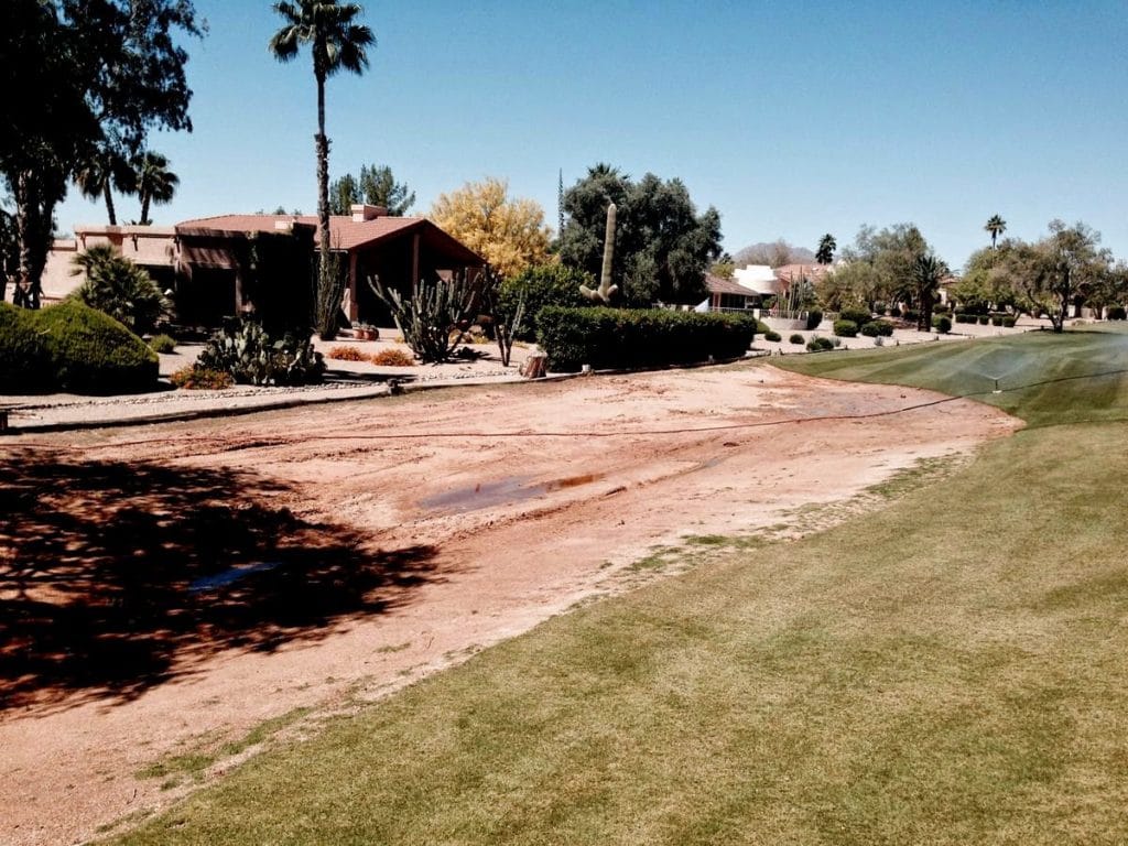 drought-tolerant landscape