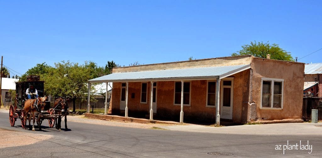 main street of Tombstone