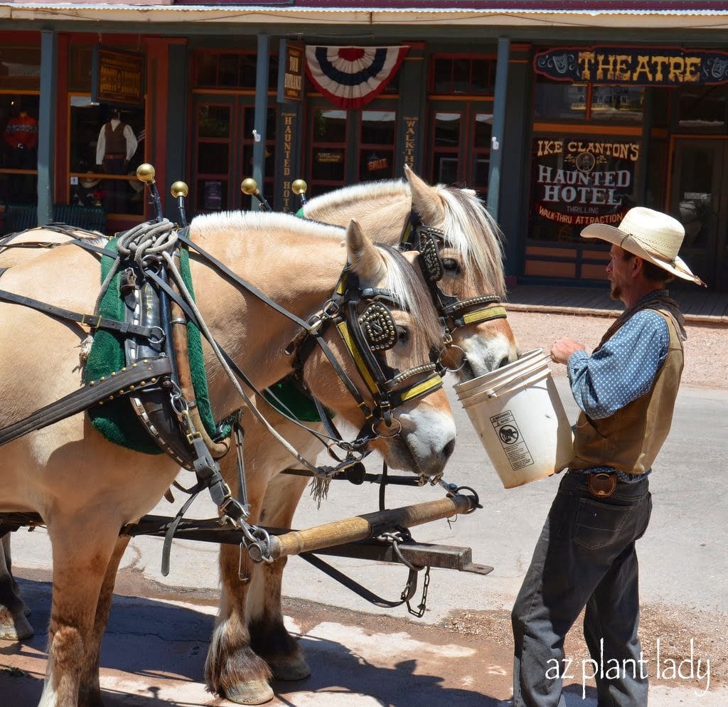 main street of Tombstone