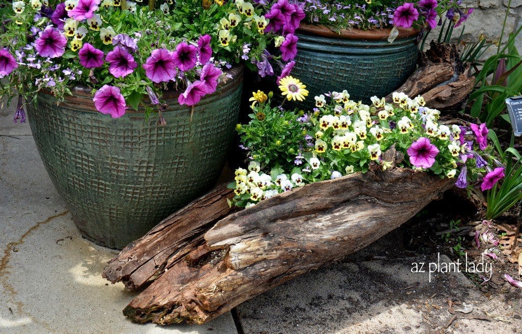 An piece of a tree trunk makes a nice planter for annual flowers at the entrance to the Green Bay Botanical Garden