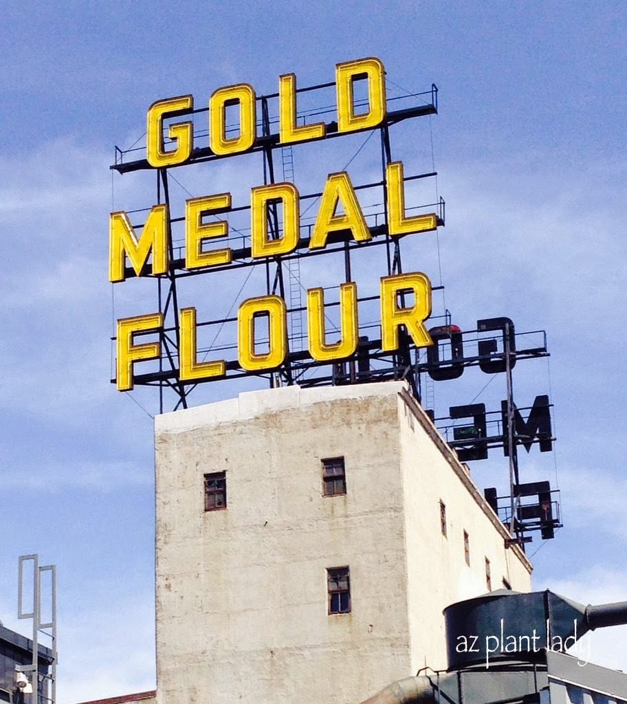 Gold Medal Flour