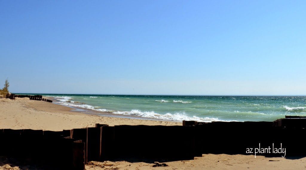  Lake Michigan 