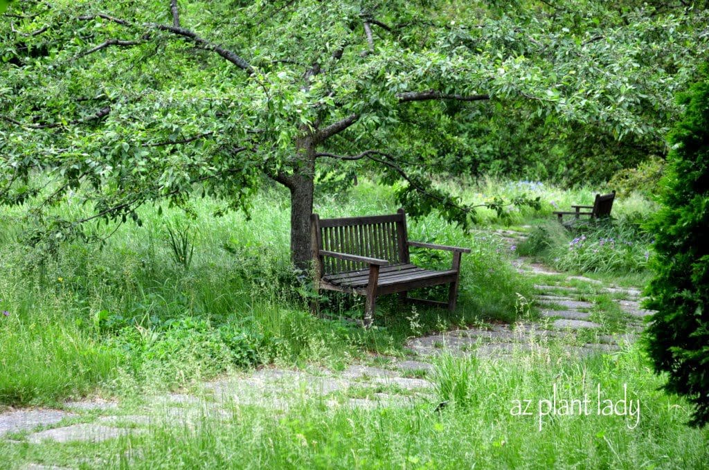 Meadow Garden