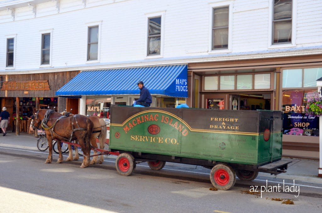 Mackinac Island