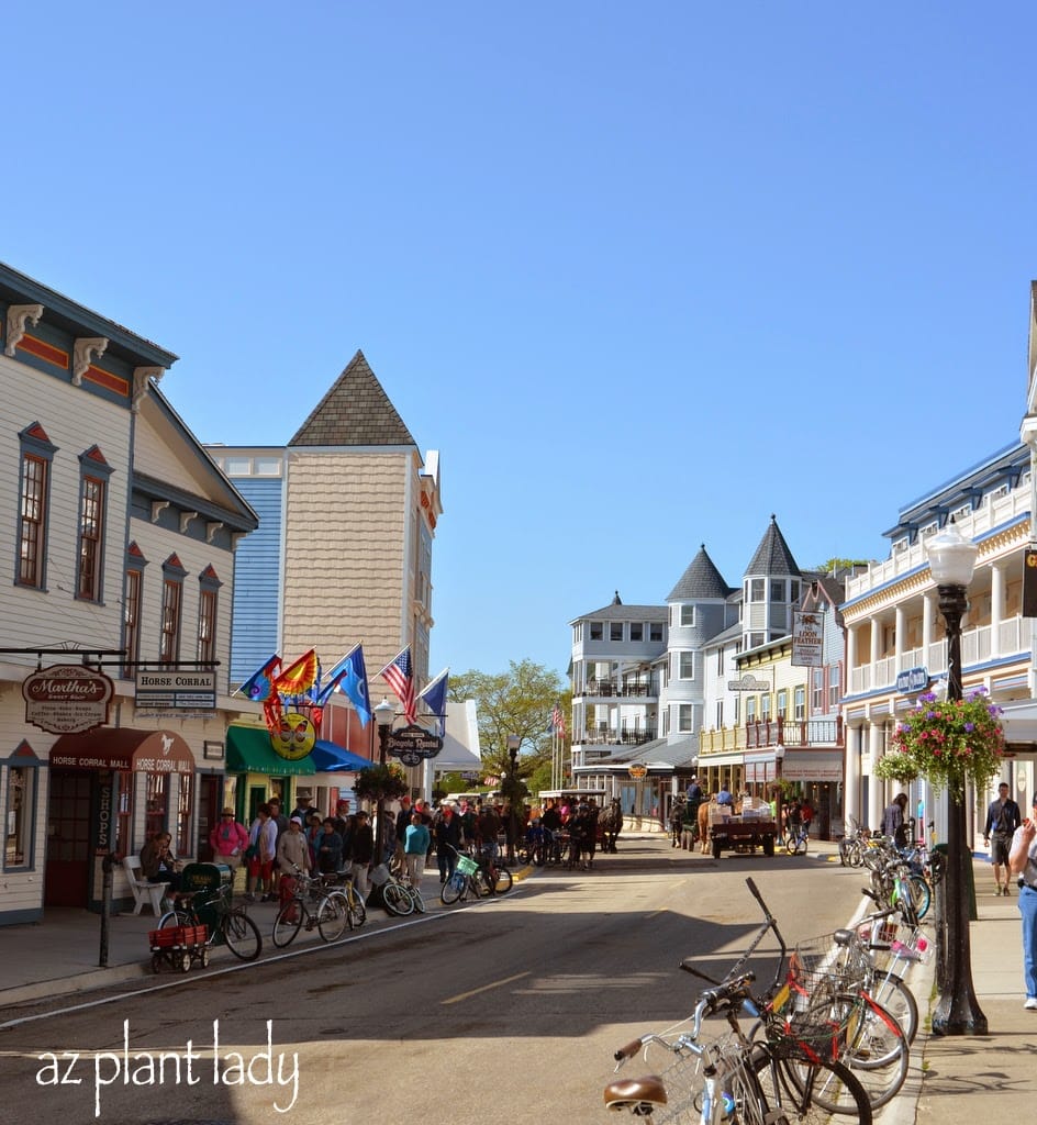 Victorian-style buildings