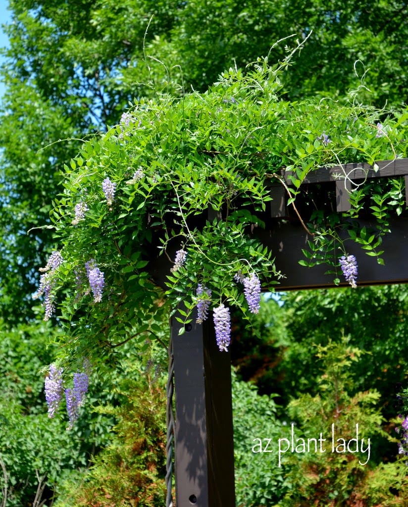 Olbrich Botanical Gardens