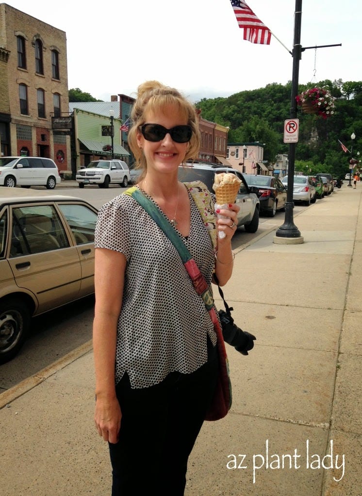 Rhubarb ice cream