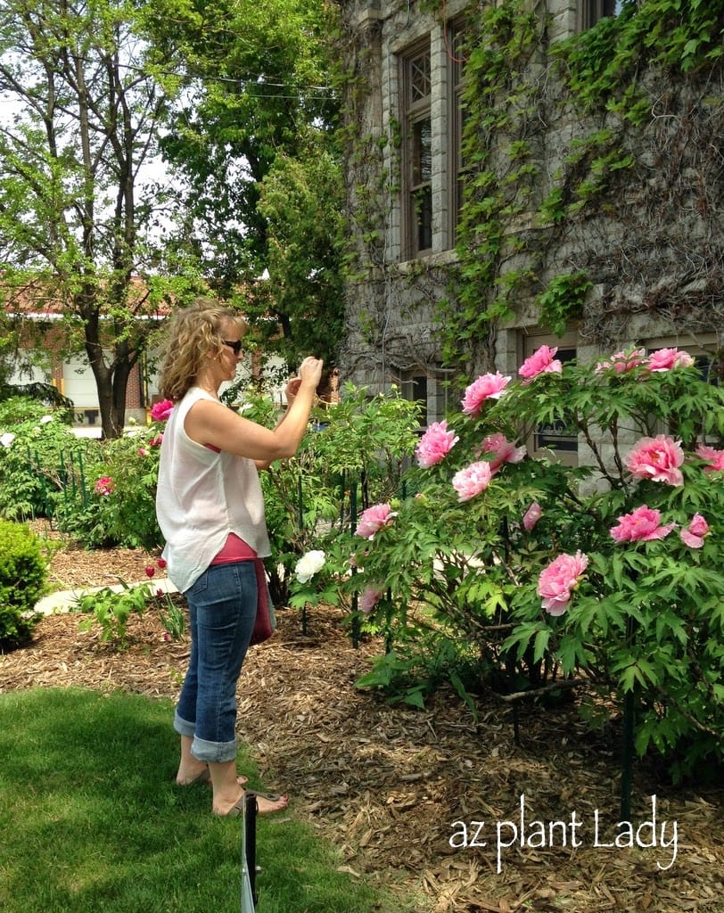 Olbrich Botanical Gardens