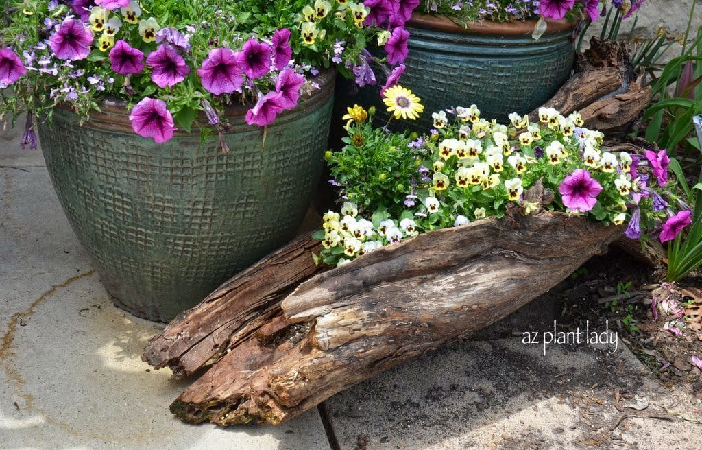 Flower Trunk 