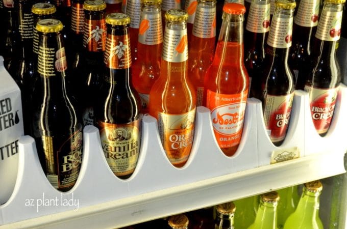 Old fashioned soda brands Desert Gardening 101 old-fashioned-soda-brands-desert-gardening-101