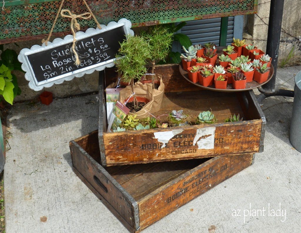 wooden boxes