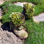 Old-boot-planter