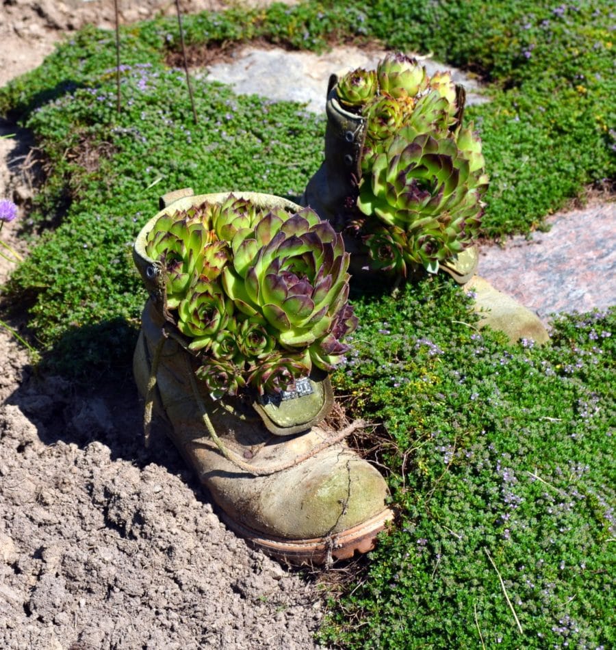 Old-boot-planter