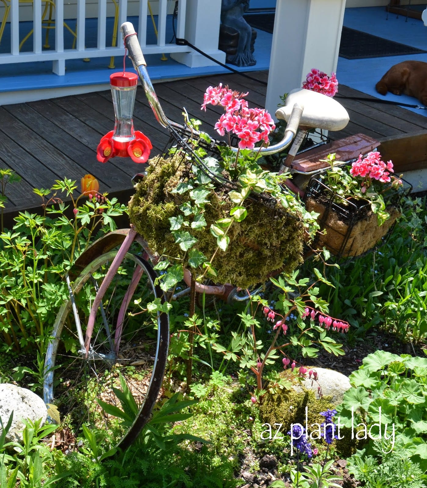 bicycle-planter