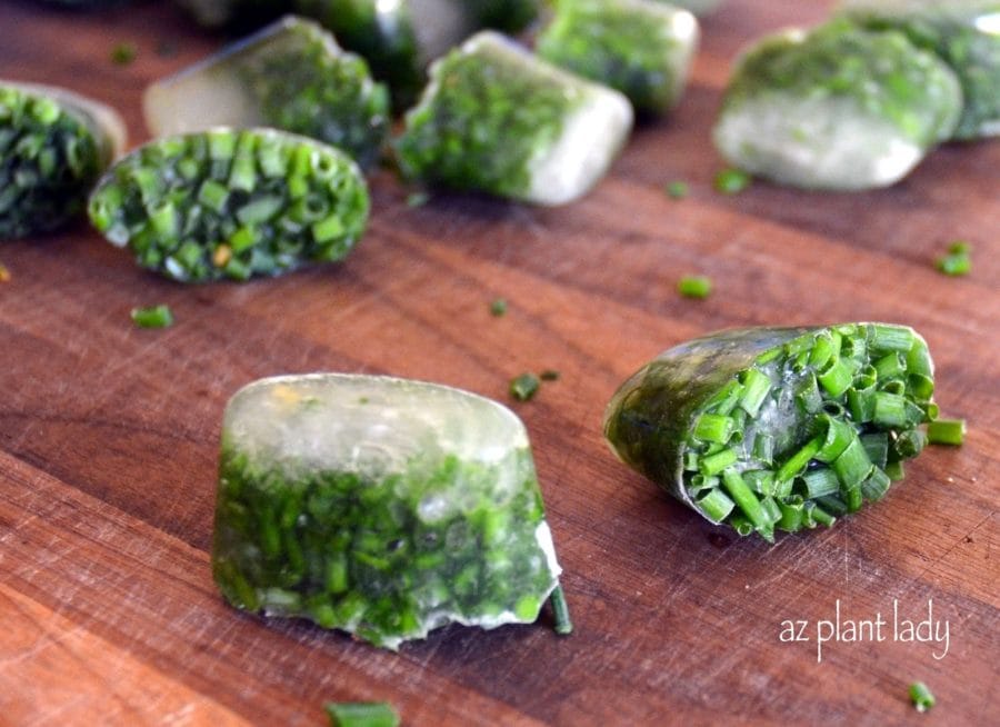 Freezing Herbs Into Ice Cubes