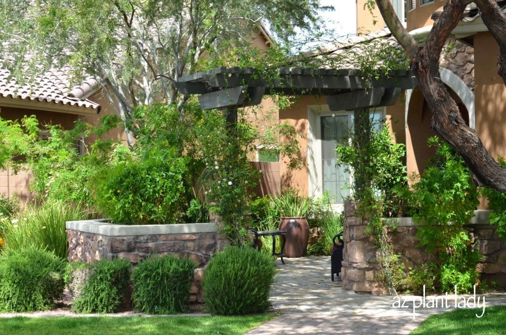 Landscape filled with drought tolerant plants and limited amount of grass.