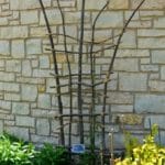 EasyGardenDIYTrellisfrombranches