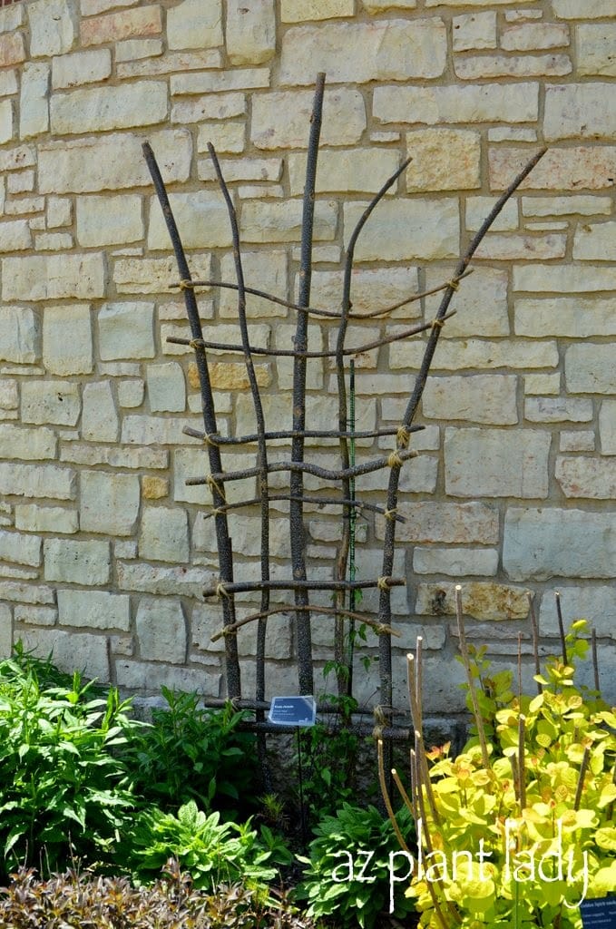 Easy Garden DIY: Create a 'Natural' Trellis From Branches ...