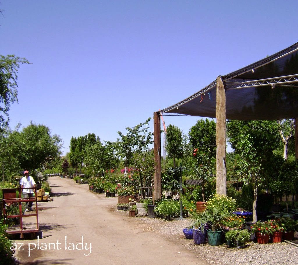 nursery container