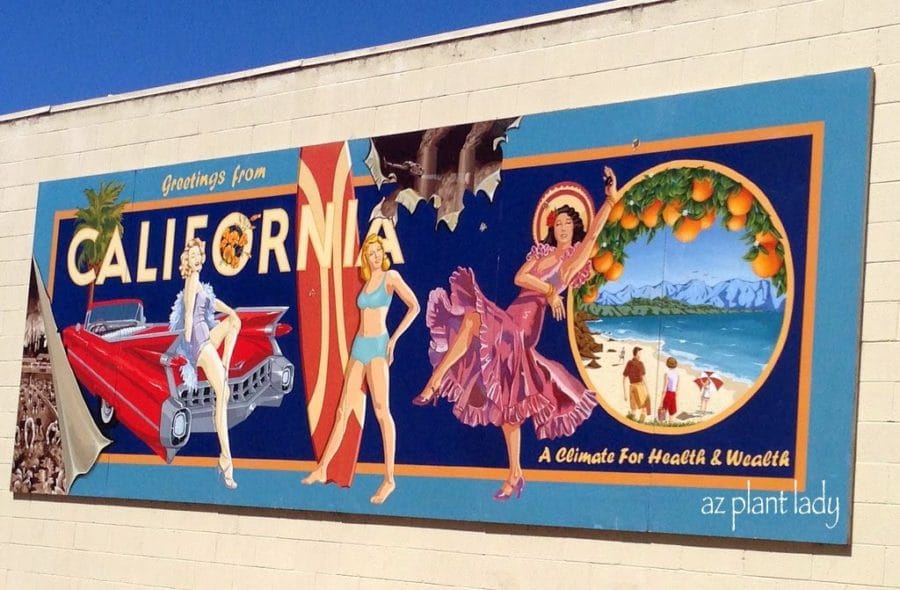 CaliforniaVintageSign