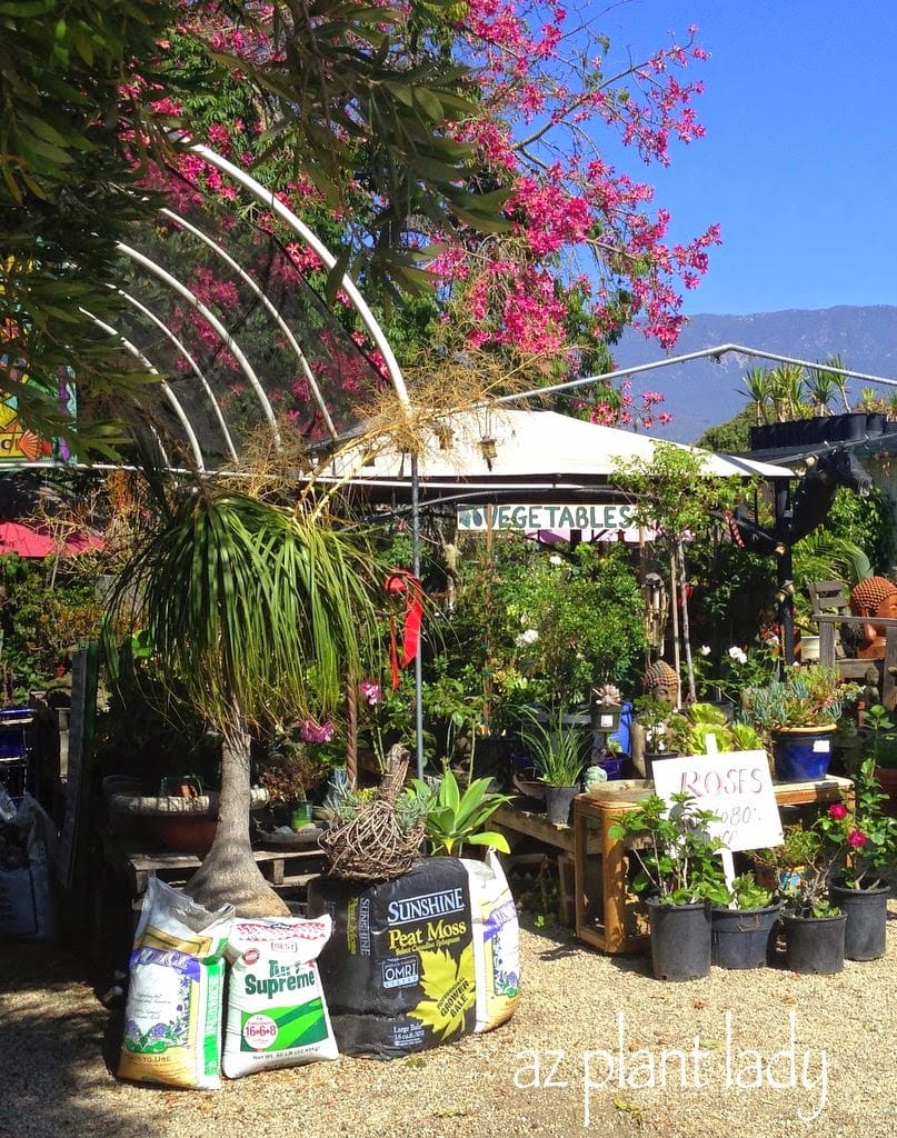 Unique Plant Nursery