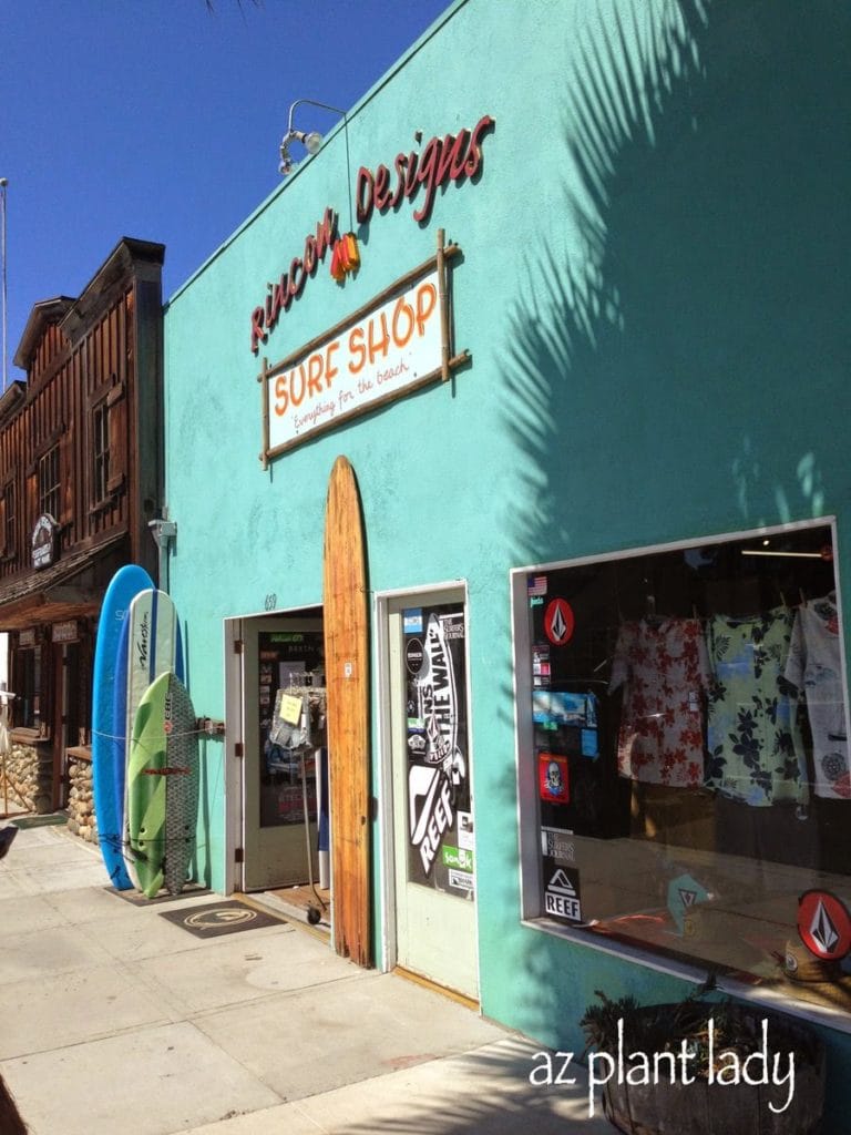 Carpinteria California A Snapshot of My Crazy, But Happy Life...