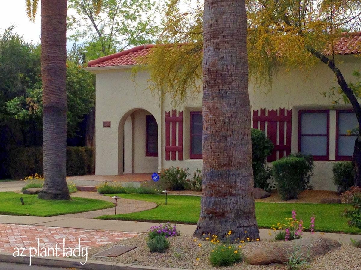 Drought Tolerant Landscape