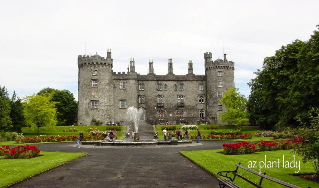 A Rose Garden Garden Fit For a Castle?