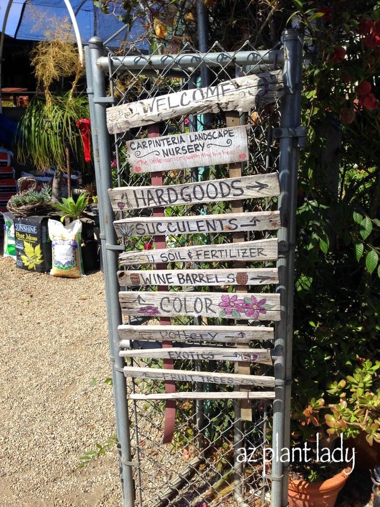 Unique Plant Nursery