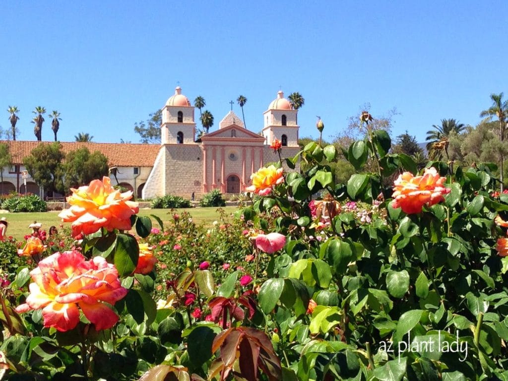 Santa Barbara Mission and rose garden