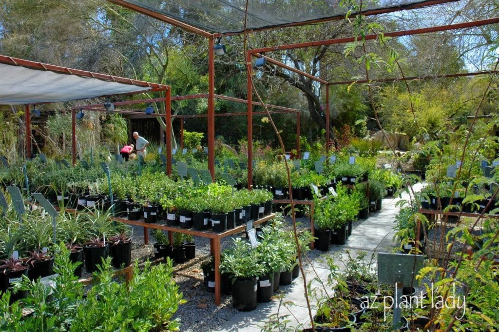 Plant nursery at The Living Desert Museum in Palm Desert, CA