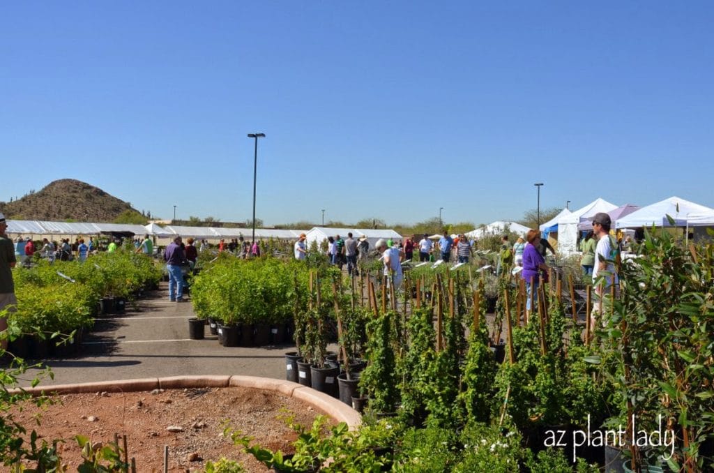 local botanical garden