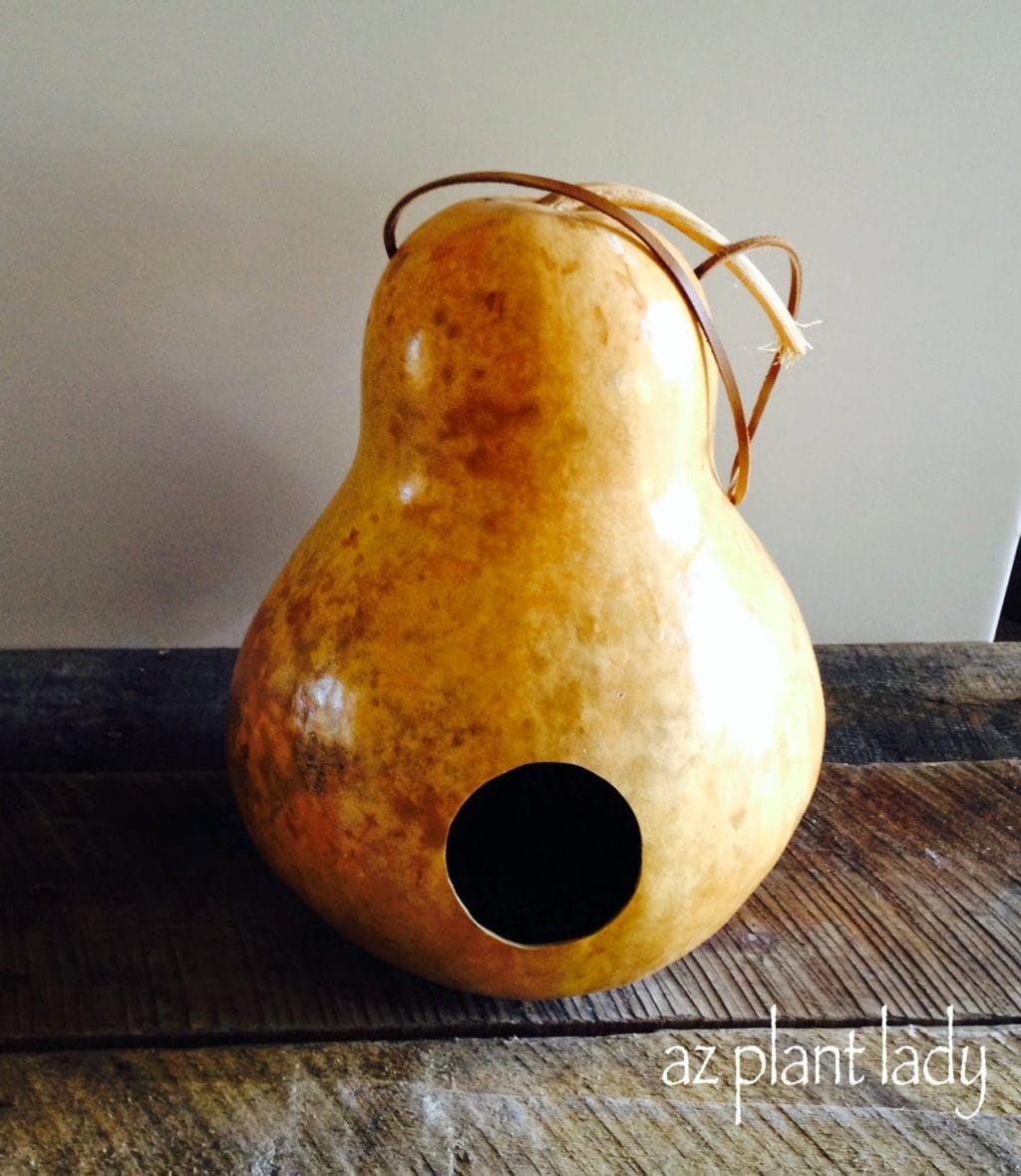 Gourd Bird Houses