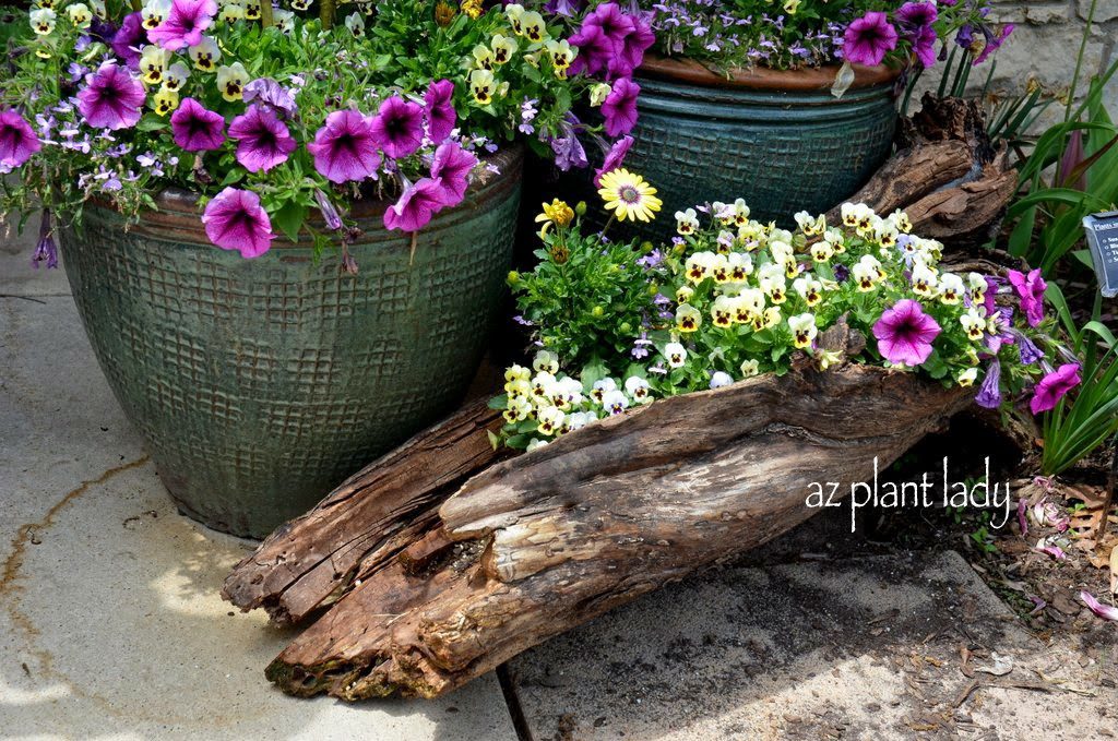 Teak Bowls Make Unique and Beautiful Planters