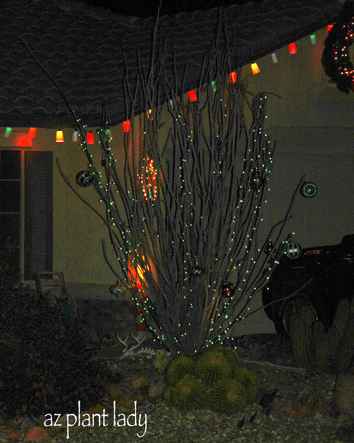 Arizona Style Christmas Celebration