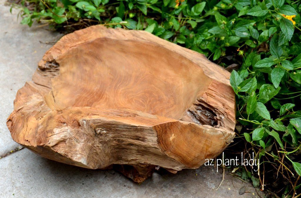 Teak Bowls Make Unique and Beautiful Planters