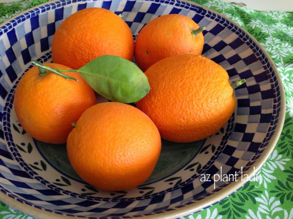 5 Surprising Ways to Use Citrus Fruit For Home and Kitchen