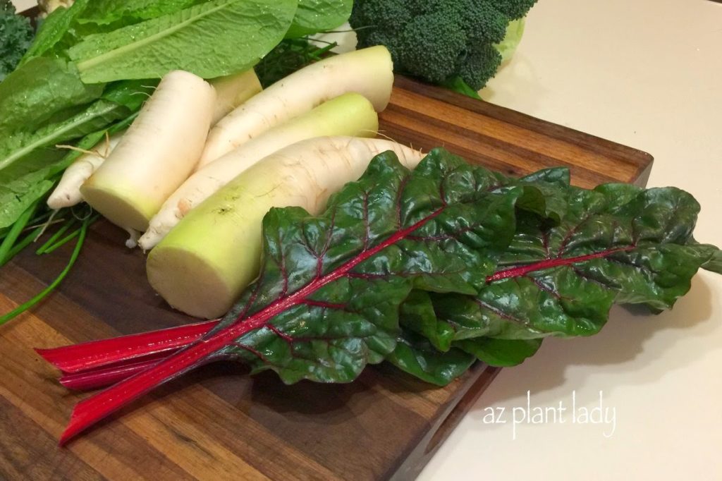 Radishes & Swiss Chard