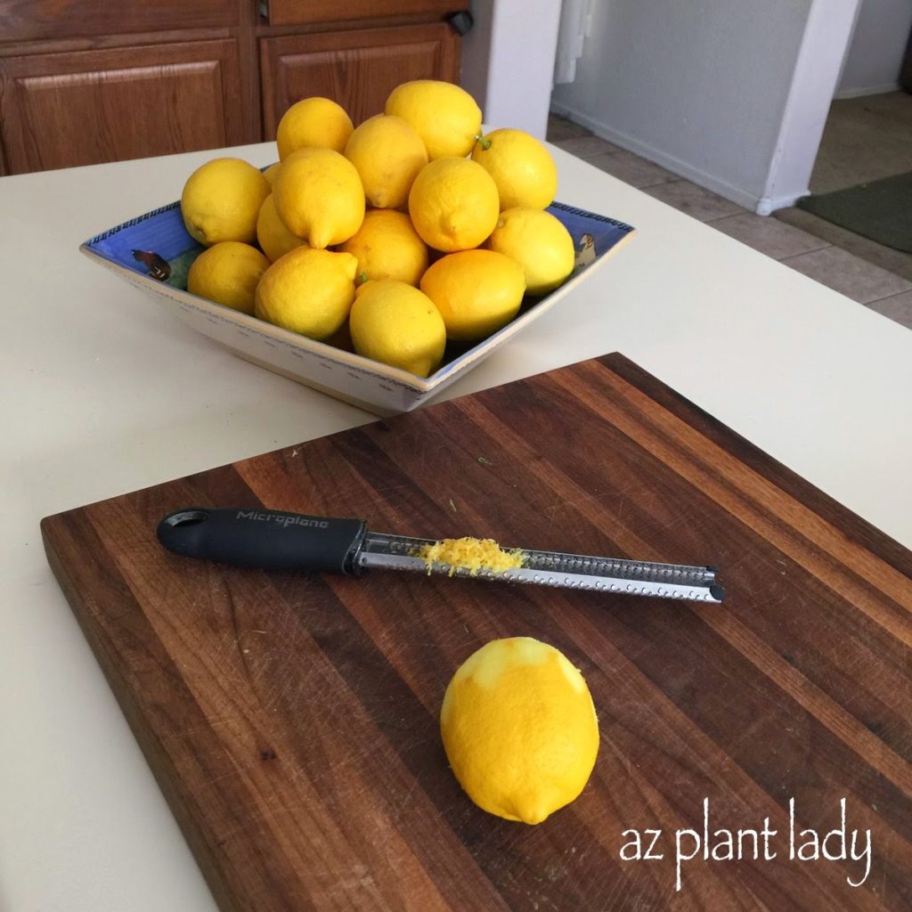 Got Lemons? Make Your Own DIY Citrus Salt Ramblings from a Desert Garden