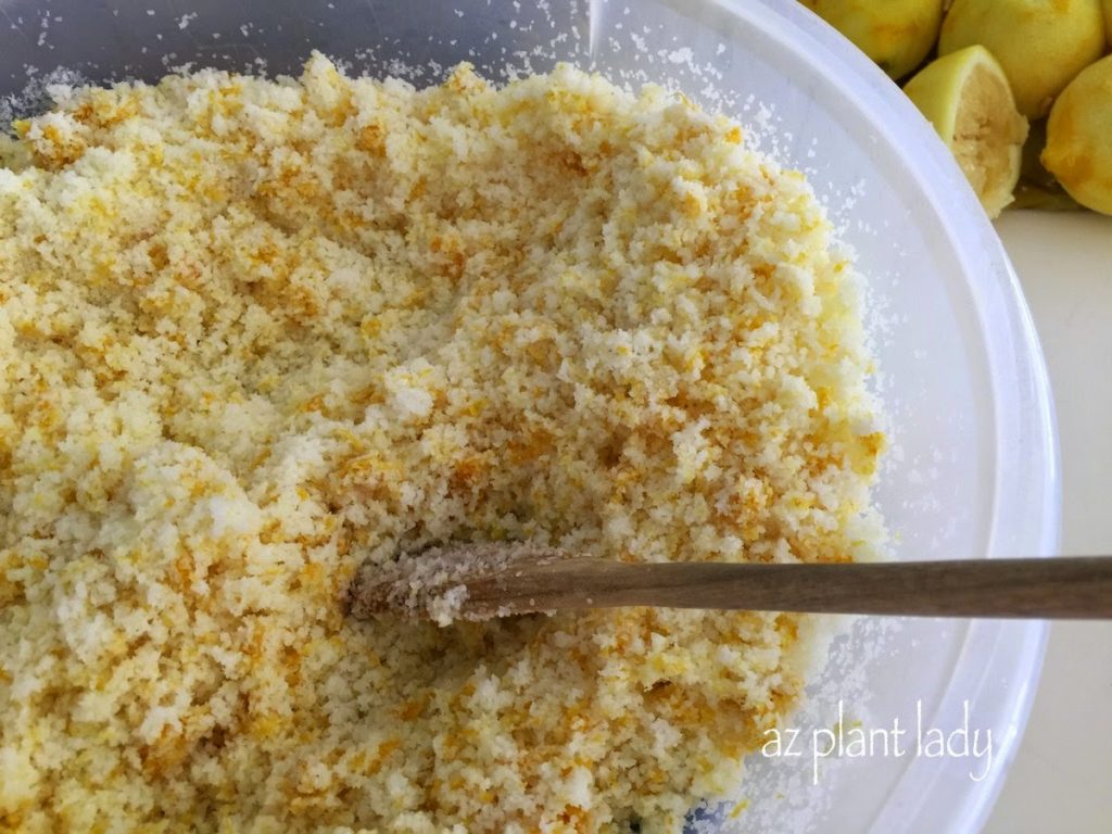 Make Your Own DIY Citrus Salt