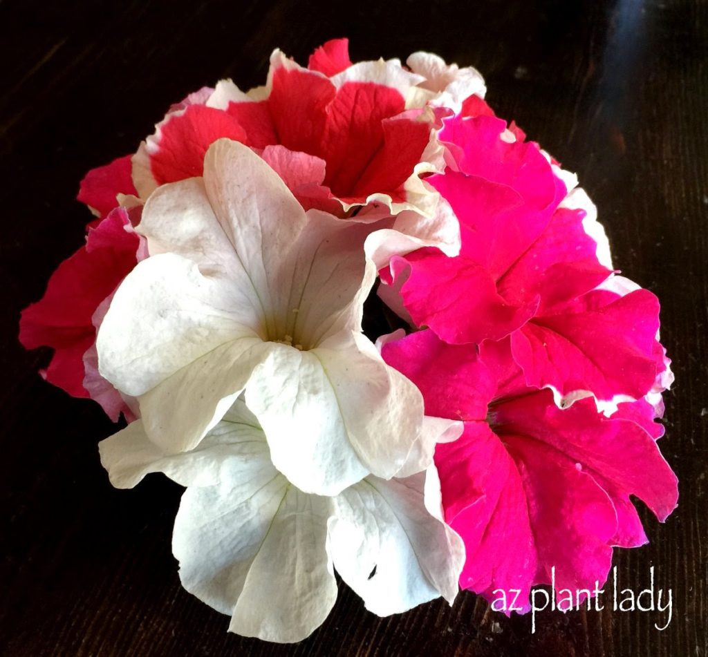 create a bouquet with petunias