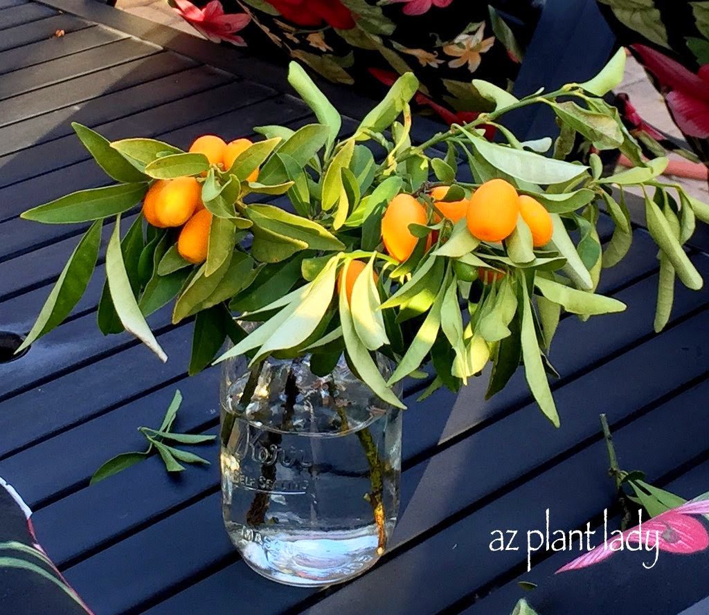 create a bouquet with kumquats