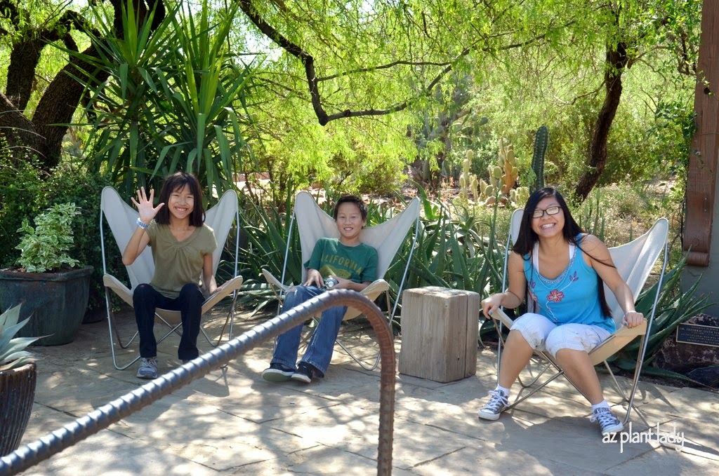 Desert Botanical Garden