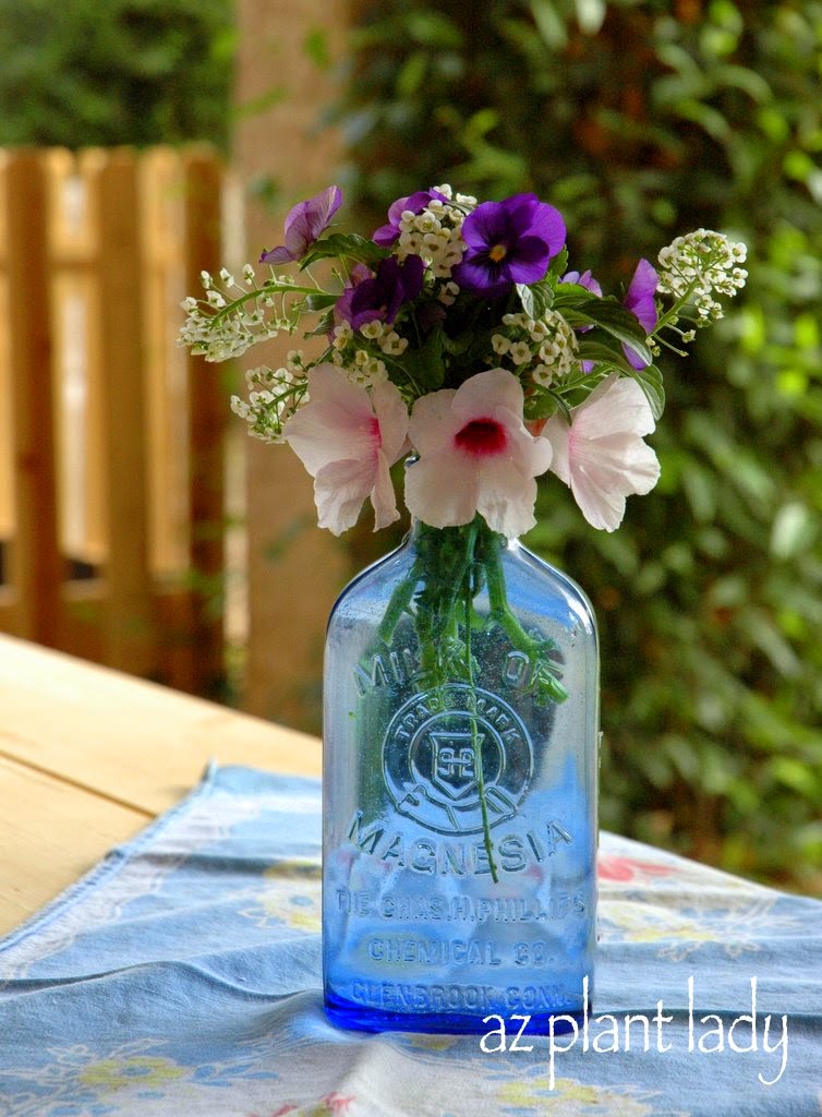 create a bouquet with white alyssum (Lobularia maritima) , purple violas and pink bower vine (Pandorea jasminoides)flowers.