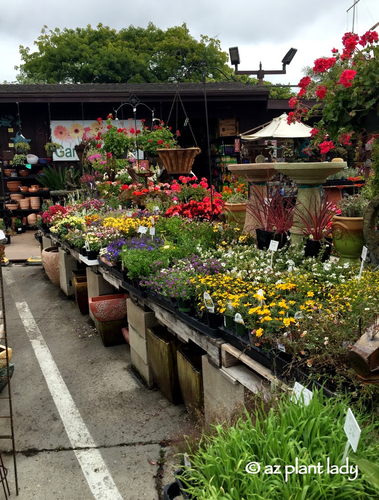 plant nursery , Golden State 