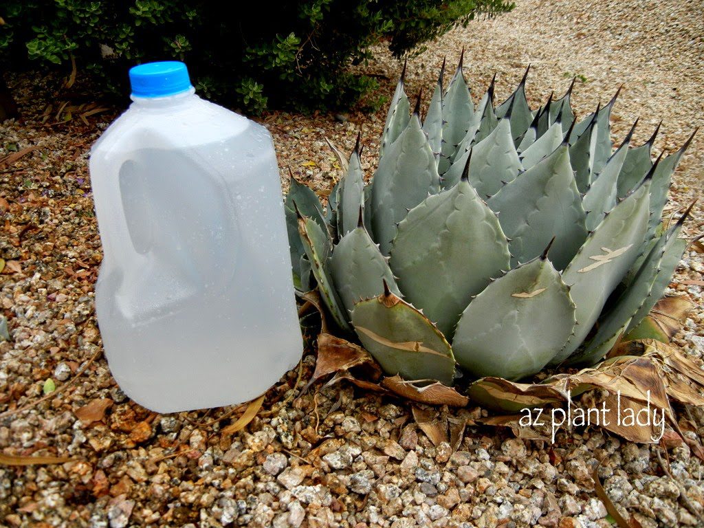 portable drip irrigation